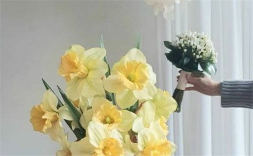 2025年03月04日(农历二月初五)结婚行吗？ 今日办婚礼好吗