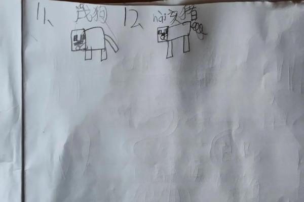 了解熊孩子背后的生肖特征