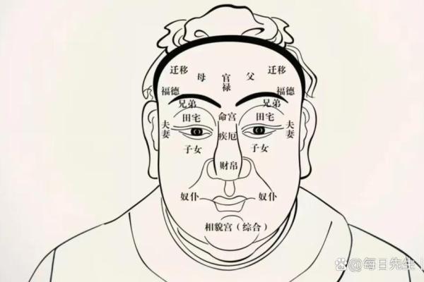 富贵命的面相特征揭秘
