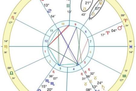 排盘分析技巧：如何通过星盘找到人生的关键节点