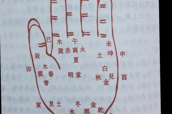 手相掌型解密：了解你的个性与命运密码