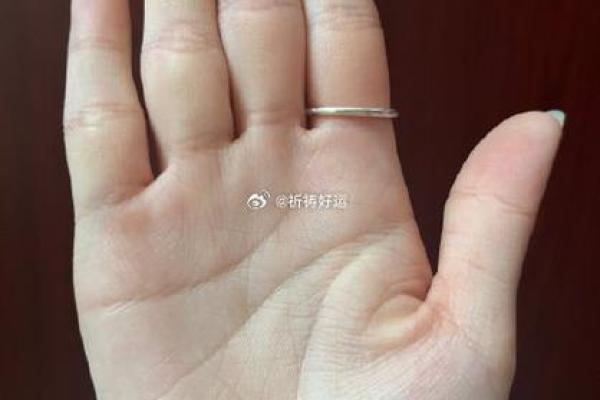 手相掌型解密：了解你的个性与命运密码