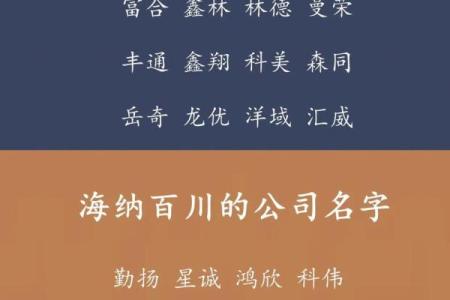 公司命名创意：如何为企业选择一个既简洁又独特的名字