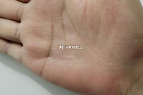 解密手相中的鸡嘴纹路与性格特点