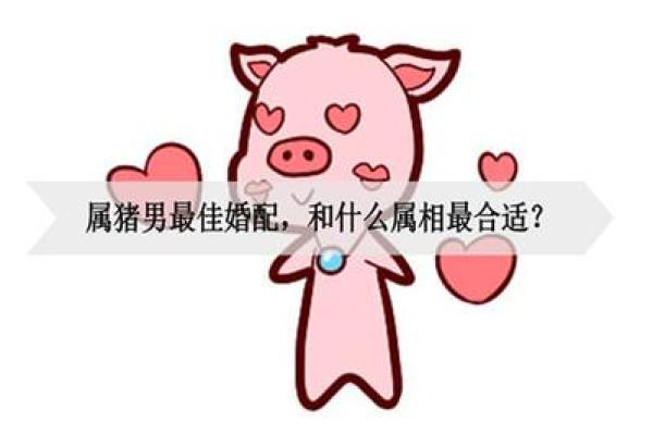 属猪男和属羊女的婚姻匹配度如何
