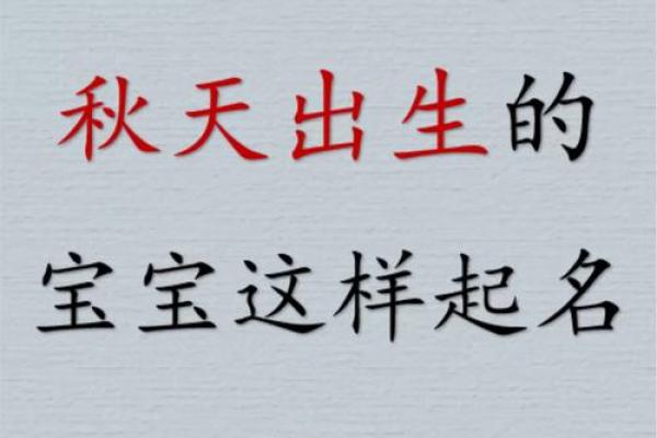 申姓宝宝起名指南：如何选择合适的字眼