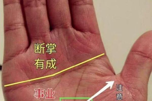 手相中的官运线解析与职场运势提升秘诀