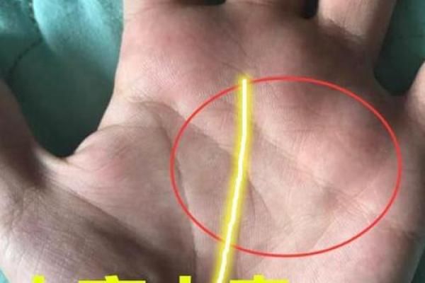 手相中的官运线解析与职场运势提升秘诀