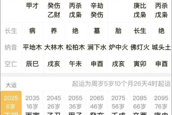 八字排盘专业版：精准解读命运与运势的强大工具