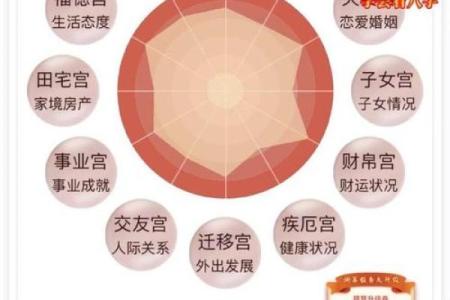 通过人盘排盘解读你的个性与人生方向