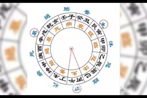 如何通过十天干的颜色理解命理