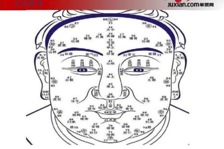 面相学中的年龄密码：你的脸透露了多少岁数