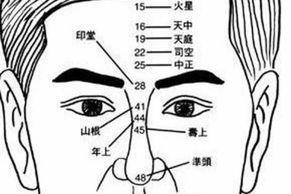 如何通过痣相准确判断性格与命运