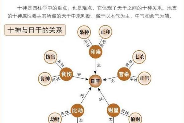 探秘六壬排盘中的天干地支关系