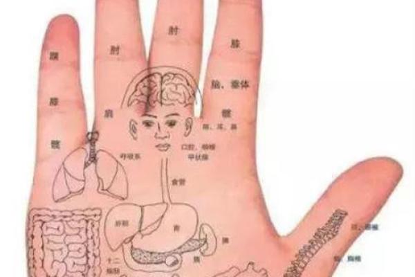 手相智能应用前景：智能科技与传统命理的创新碰撞