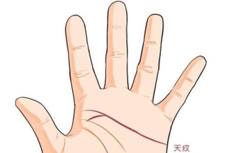 手相智能应用前景：智能科技与传统命理的创新碰撞