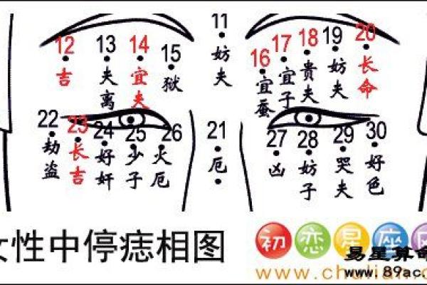龟尾痣相的含义与命理解析