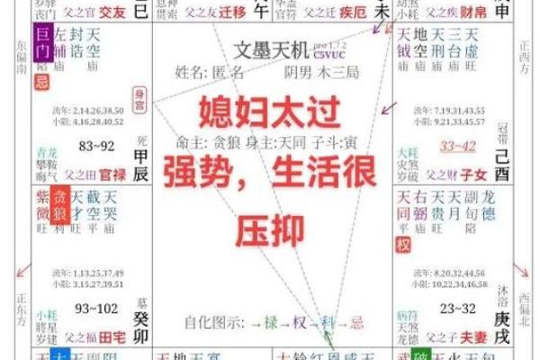紫微斗数与八字命理的区别
