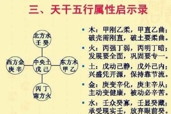 天干金与地支火的相生相克关系解析