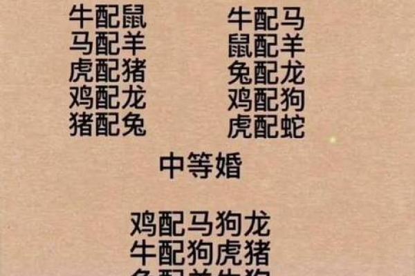 十二生肖婚配关系解析与最佳配对建议
