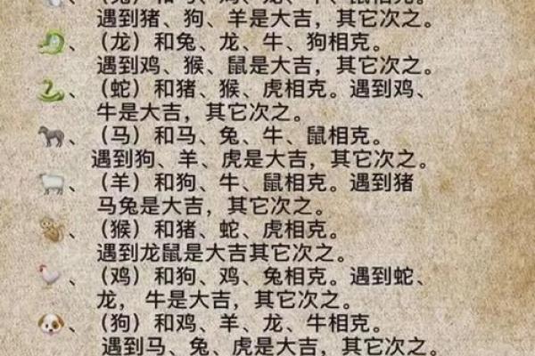 哪些属相容易与其他属相冲突