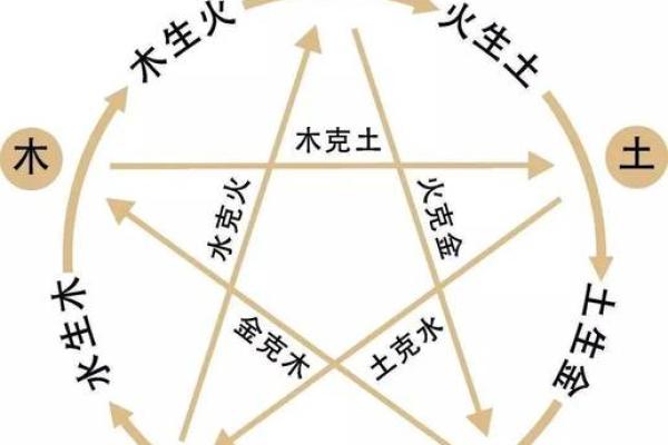 五行属木的颜色与生活风水的神奇联系