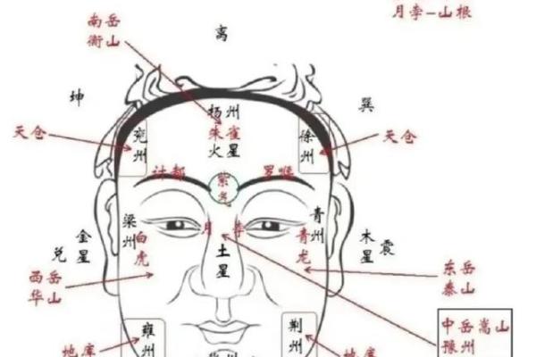 州字五行属性解析与命理影响