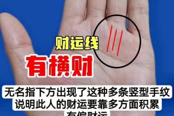 解密劳碌手相：揭示辛勤与收获的掌纹玄机