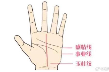 解密劳碌手相：揭示辛勤与收获的掌纹玄机