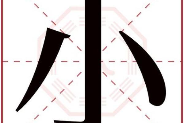 三字五行属什么解析与命理深度探讨