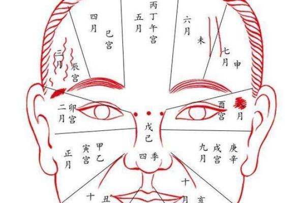 支藏天干对命主个性和运势的影响
