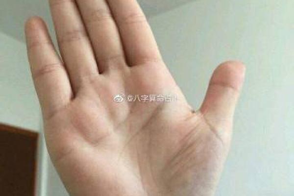 木子命理与五行八字的深度解析