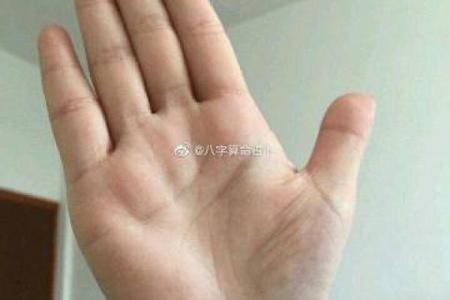 木子命理与五行八字的深度解析