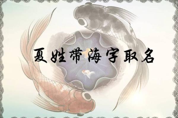 夏姓男宝宝取名的独特技巧与推荐名字大全