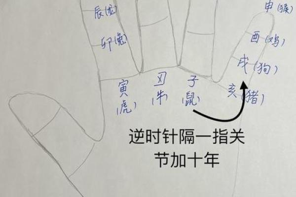 如何查找天干对应的年份？详细步骤解析