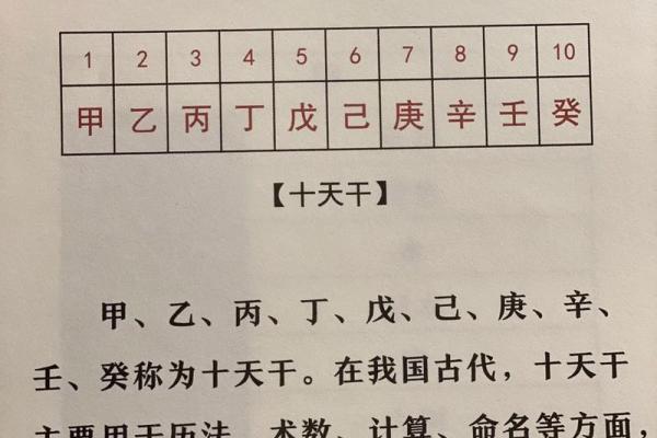 如何查找天干对应的年份？详细步骤解析
