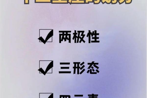 了解排盘星座：如何解读个人星盘与命运关系