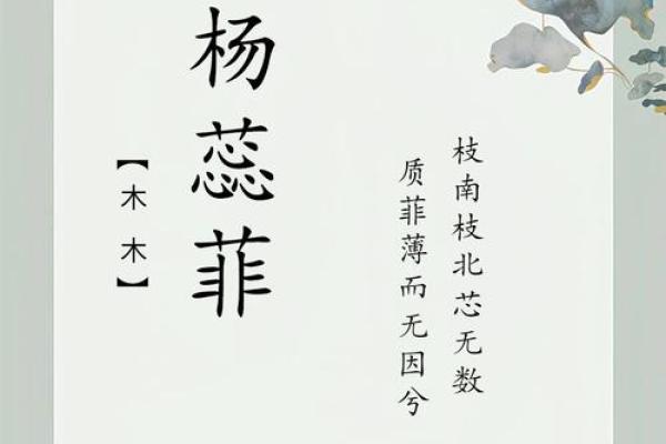 杨姓宝宝起名指南：为你的宝贝挑选完美名字