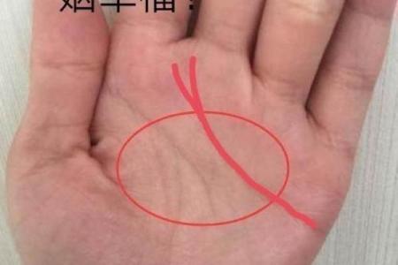 手相跨文化研究：全球手掌纹理的意义与差异
