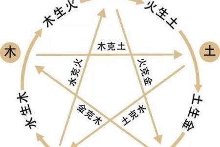 如何通过八字分析五行平衡与命运走势