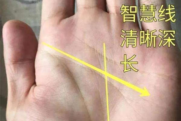 男女看手相方向不同的原因与文化背景解析