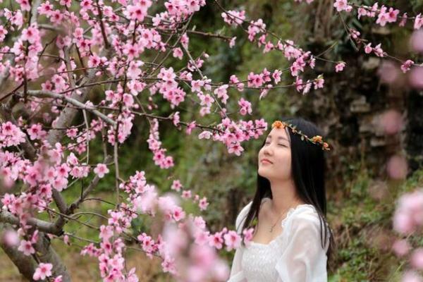 桃花命脚的含义与命理解析：如何影响个人运势与感情生活