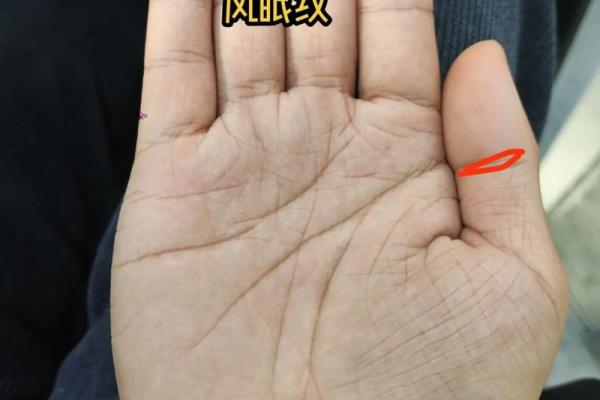 龙压虎手相的深层含义及其对人生运势的影响