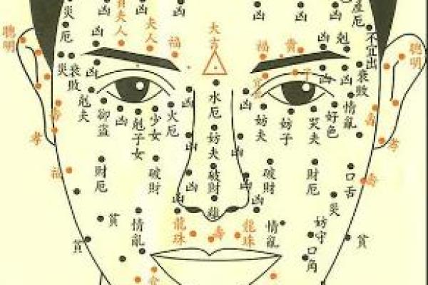人体痣相：它们隐藏着怎样的生活密码