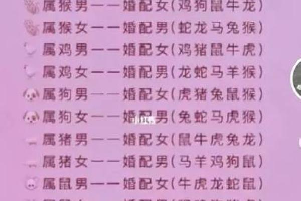 属鼠和属龙能走到一起吗？深入了解两者的性格差异