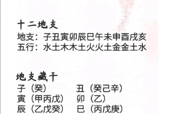戌藏天干与五行命理的深度关系