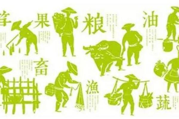 打造独特农产品公司品牌名的五个步骤