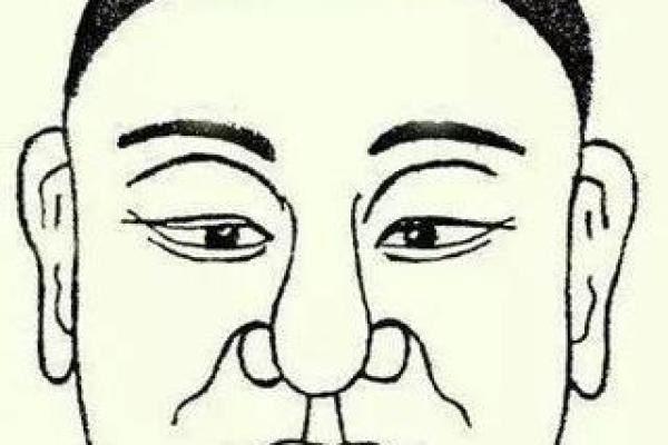 眉毛面相图解：从眉形看出你的内在特质