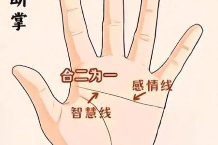 解读假断掌：如何通过手相预测人生轨迹