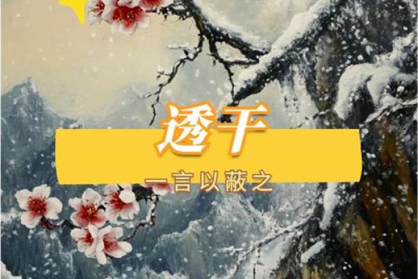 天干四连的奥秘与应用解析